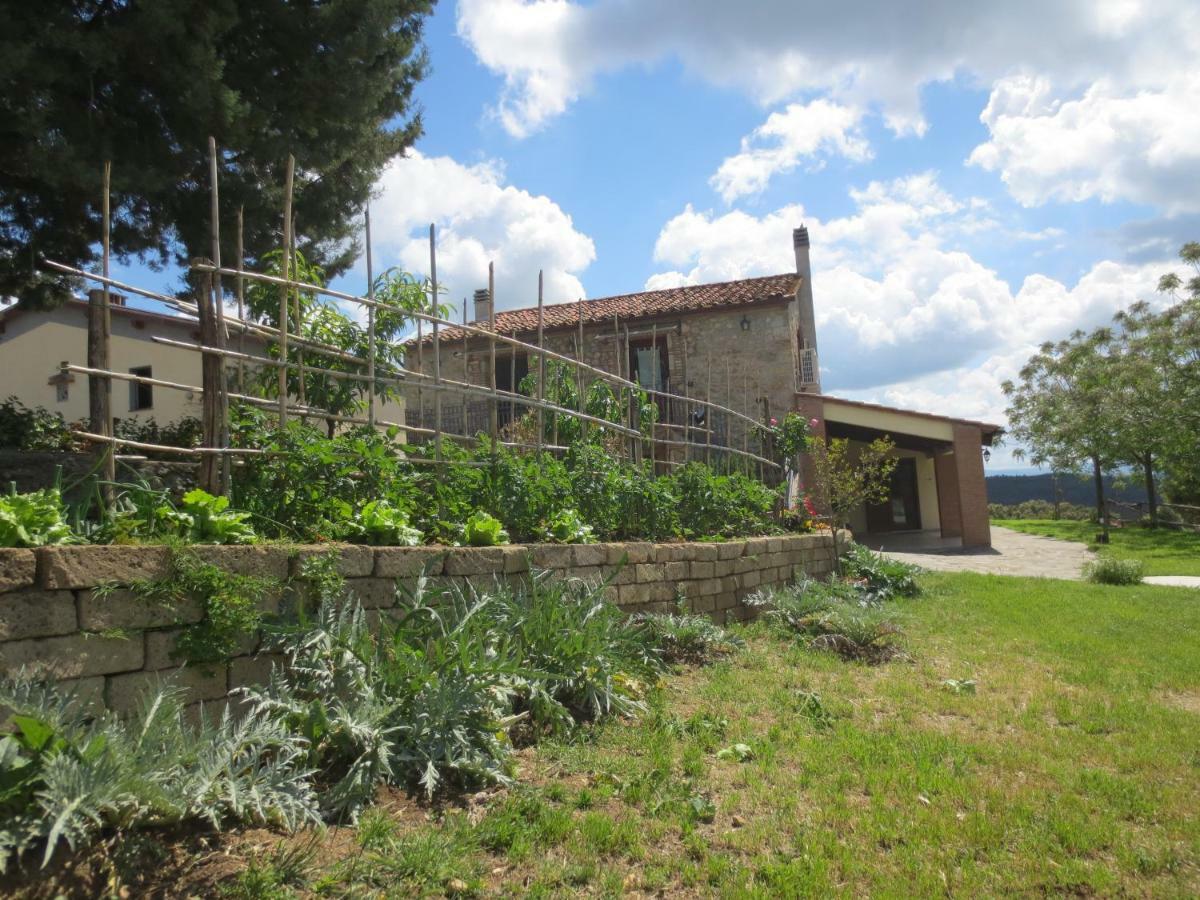 Agriturismo L'Alba Roccastrada Exterior photo